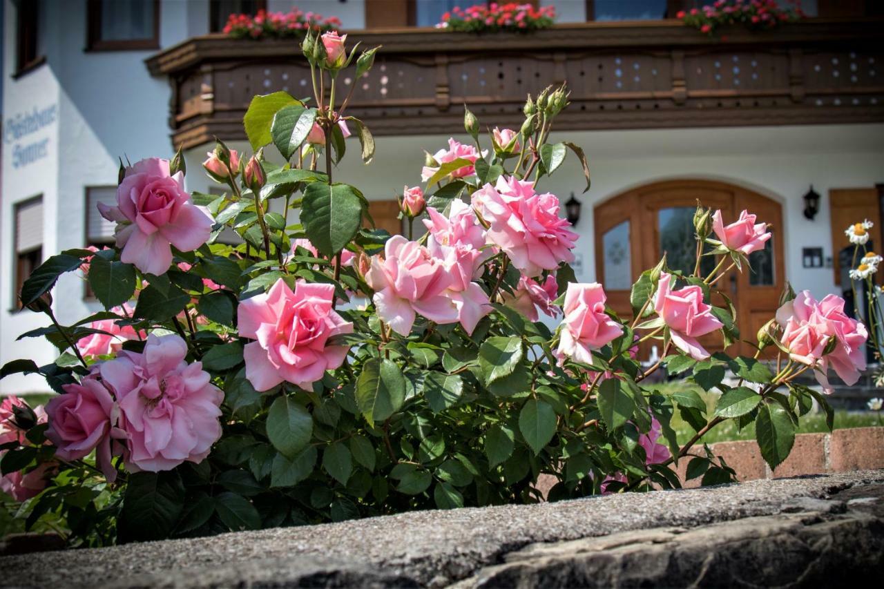 Gaestehaus Sonner Dietmannsried Buitenkant foto